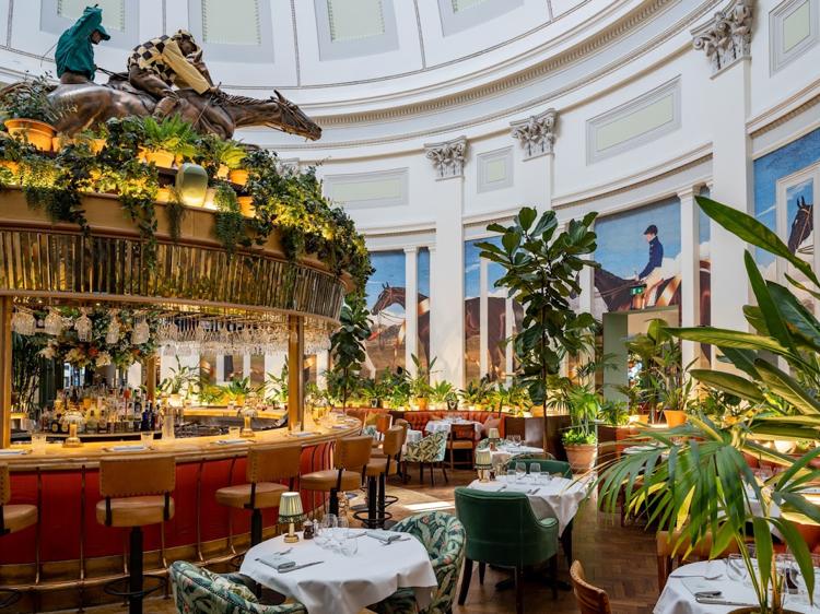The domed Rotunda dining room of The Ivy Montpellier Brasserie, Cheltenham, with plants and a raised bar