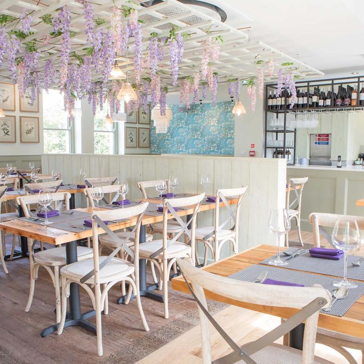 Wooden tables and white cross-back chairs under hanging wisteria inside Giggling Squid on Montpellier Street, Cheltenham